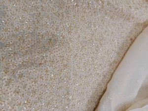Wedding Sequin Saree + peticoat + unstitched Blous