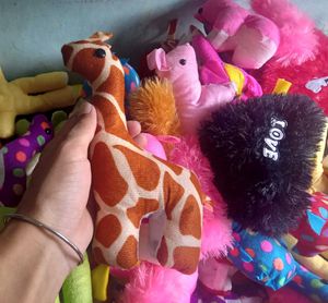Assorted Plush Animal Toys
