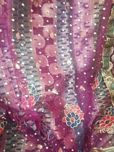 Multi Colour Saree