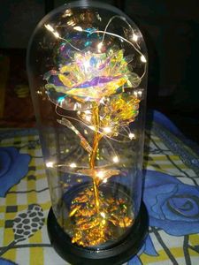 Artificial Colourful Preserved Rose In Glass Dome