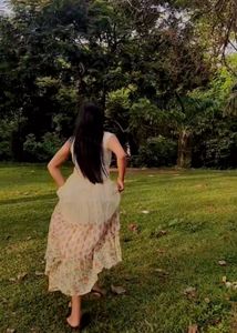 Elegant Ethnic Gown
