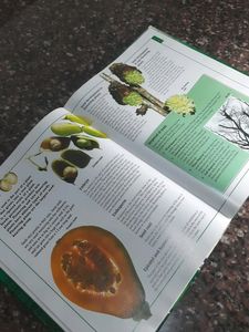 Book Of Plants - An Encyclopedia