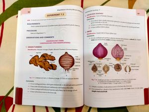 Biology Laboratory Manual Class 11