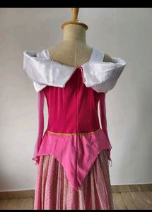 Aurora Costume Dress
