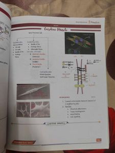 PHYSIOLOGY EGURUKUL NOTES 3.0 MBBS BOOK