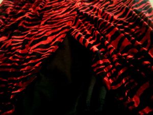 Red Animal Print Dress (unused)