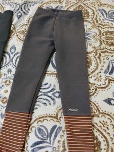 combo of 3 warm  Leggings