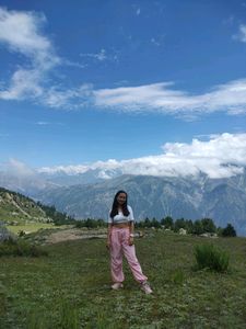 Pink Parachute Pant