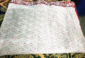 Soft Net Saree With Red Velvet Pallu..