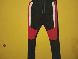 Jogger Pant🎉Free Delivery 🎉