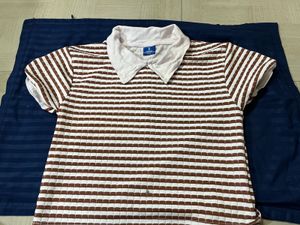 Brown & White Striped Polo
