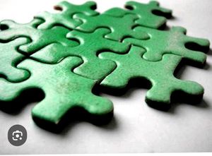 Innis Free Puzzle - New Green
