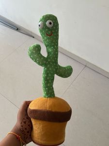 Dancing Cactus