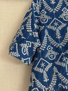 Chikankari Blue Embroidered Top