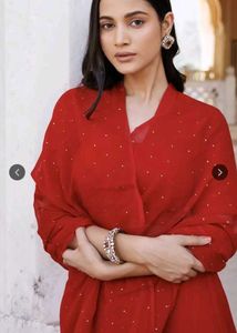 Mukesh (Baadla) Work Saree