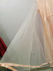 Elegant Ethnic Gown