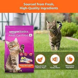 Adult Dog Food