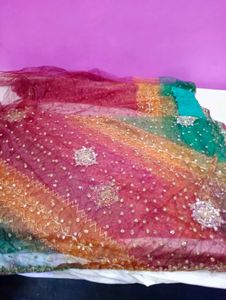 Embroidered Saare