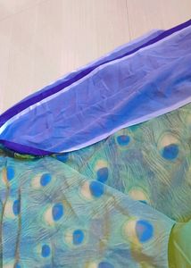 Multi Colour Saree