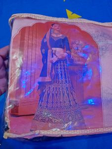 Blue Embroidered Lehenga Choli