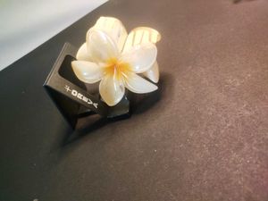 Trending Flower Clutcher