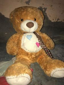 Teddy 🧸