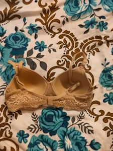 Lace Trim Bra