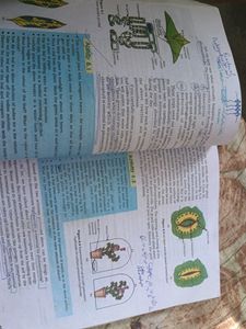 Ncert Science: Class 10th (X)