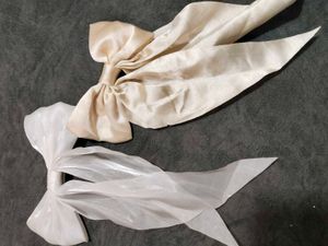 Hair Bow Clips (Set of 2)
