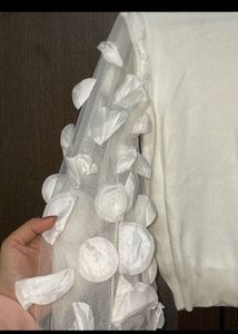 Ruffle Net Sleeves Top