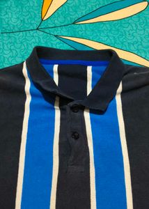 Striped Blue Polo Shirt