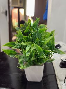 Artificial Plant Decor