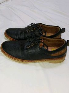 Tiger Hill Black Casual Shoes