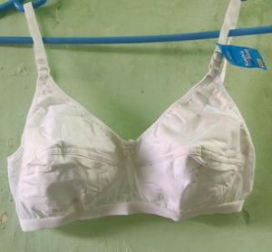 Bra Unused
