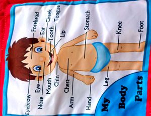 Learning Cushion For Kids.