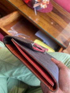 Baggit Purse