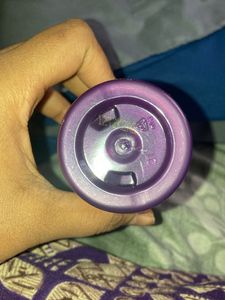 BBW-Winterberry Wonder