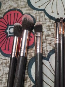 Lilara Brush Set used for 1 to 2 tym