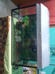 Aquarium With All Accessories
