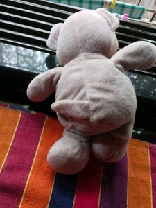 Teddy Bear 🩷 Pink