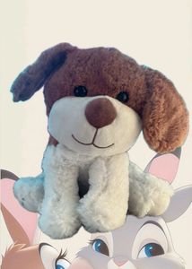 Cute Teddy