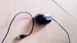 Mouse