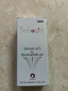 Ubik Sebogel