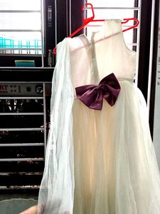 Elegant Girls Dress net  full frel gwon