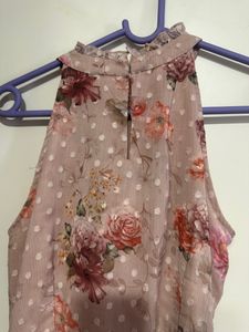 women   dress