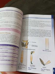 BD Chaurasia&#39;s General Anatomy