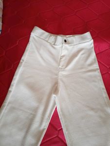 Trouser For Women