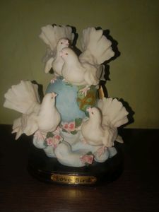 Bird Showcase