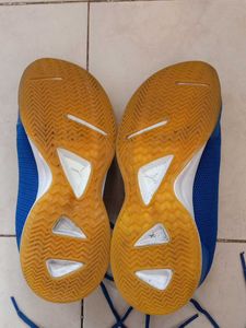 PUMA Blue Badminton Shoes