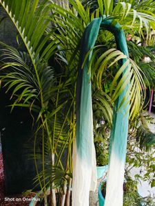 Beautiful Nature Inspired Chiffon Dupatta